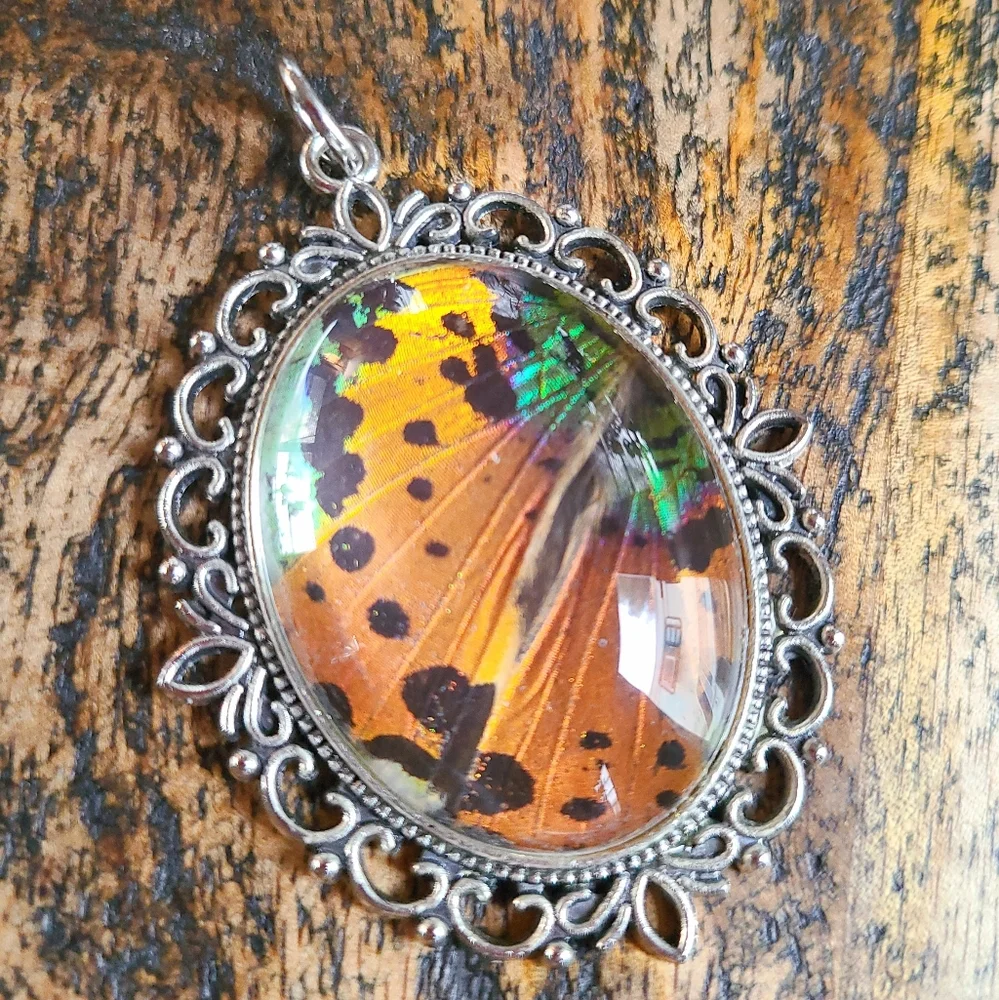 Genuine Butterfly Wing Pendant Madagascar Sunset Moth - Picture 4 of 6